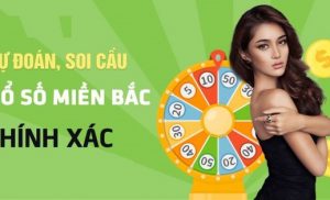 cầu loto dàn lô 8 con mb vip